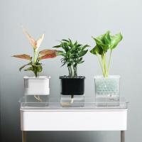 uploads/erp/collection/images/Home Garden/lingjiao/XU0624122/img_b/XU0624122_img_b_2